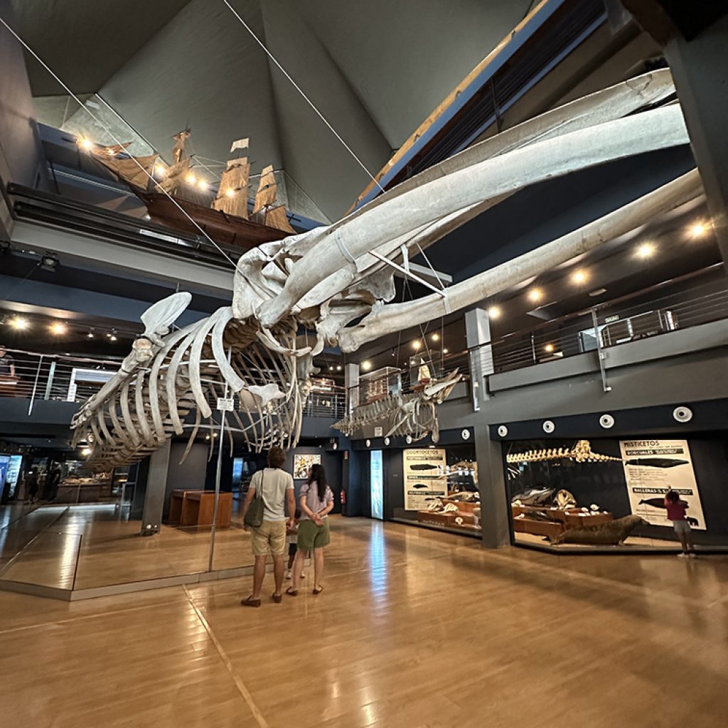 Museo Marítimo del Cantábrico