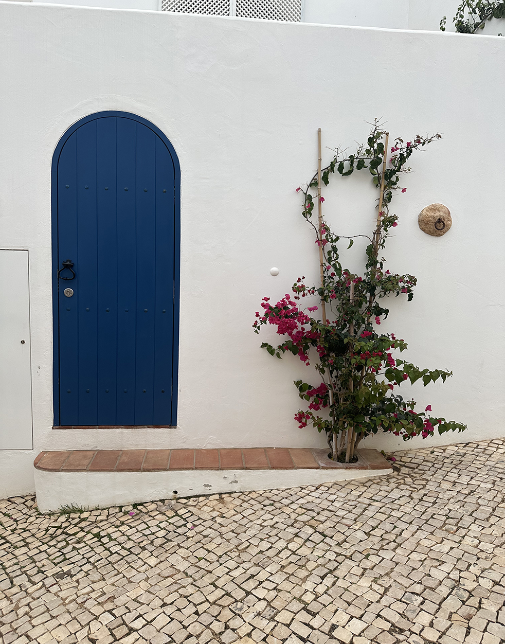 What to do in Lagos Portugal